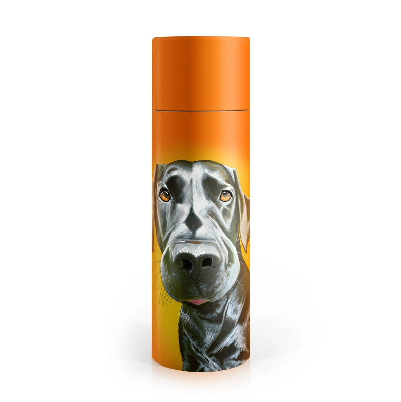 Mr. Lover Water Bottle